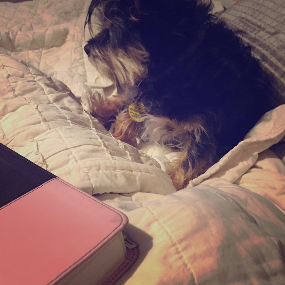 Meet your Posher, Tyler